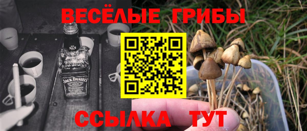 Джанкой  Псилоцибиновые грибы MAGIC MUSHROOMS  Вход с VPN 