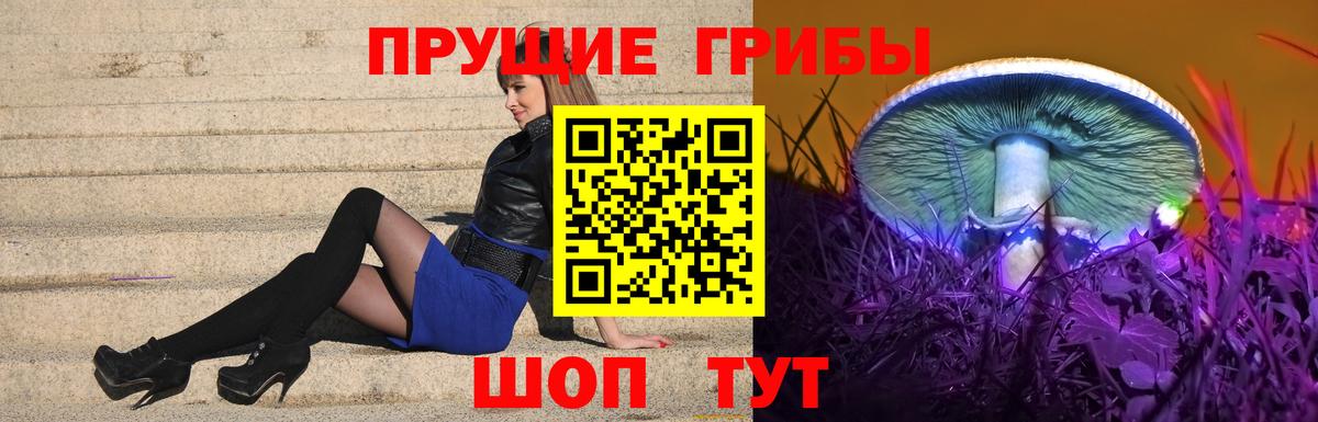 Псилоцибиновые грибы Magic Shrooms Джанкой
